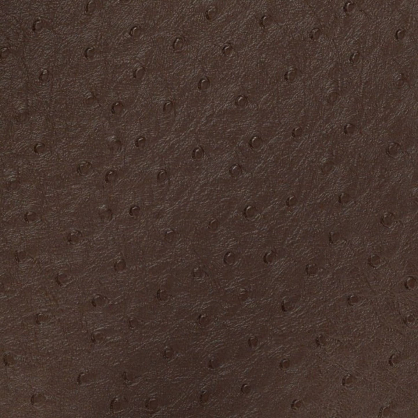 Nassimi Bondi Performance Vinyl Fabric - PBO-007 Espresso