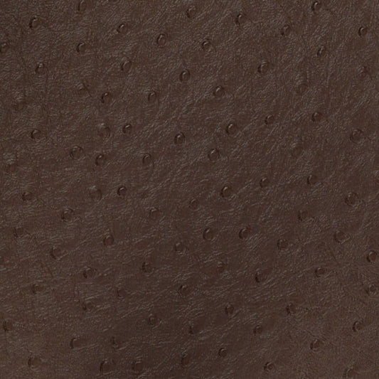 Nassimi Bondi Performance Vinyl Fabric - PBO-007 Espresso