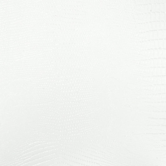 Nassimi Bronte Performance Vinyl Fabric - PBR-002 White