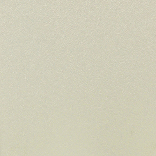 Nassimi Esprit Performance Vinyl Fabric - PES-001 Adobe White