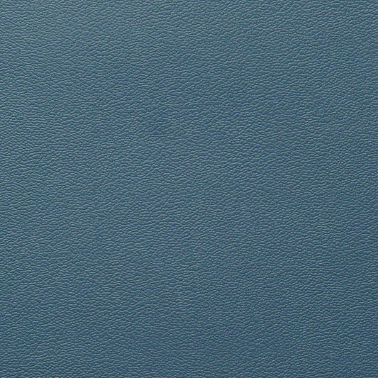 Nassimi Esprit Performance Vinyl Fabric - PES-009 Blue Berry