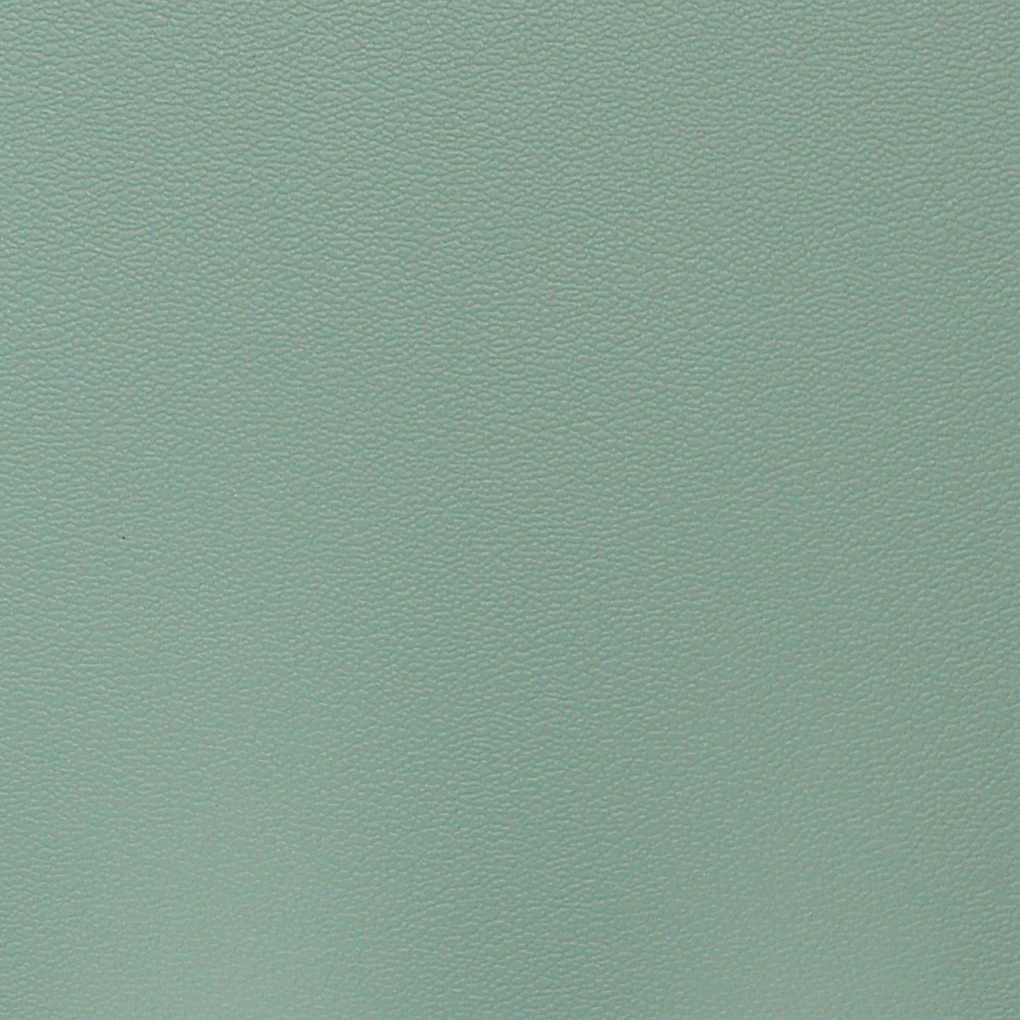 Nassimi Esprit Performance Vinyl Fabric - PES-015 Celadon