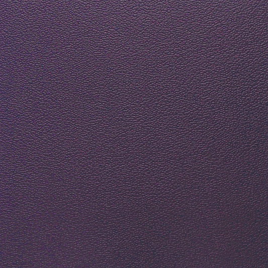 Nassimi Esprit Performance Vinyl Fabric - PES-019 Concord