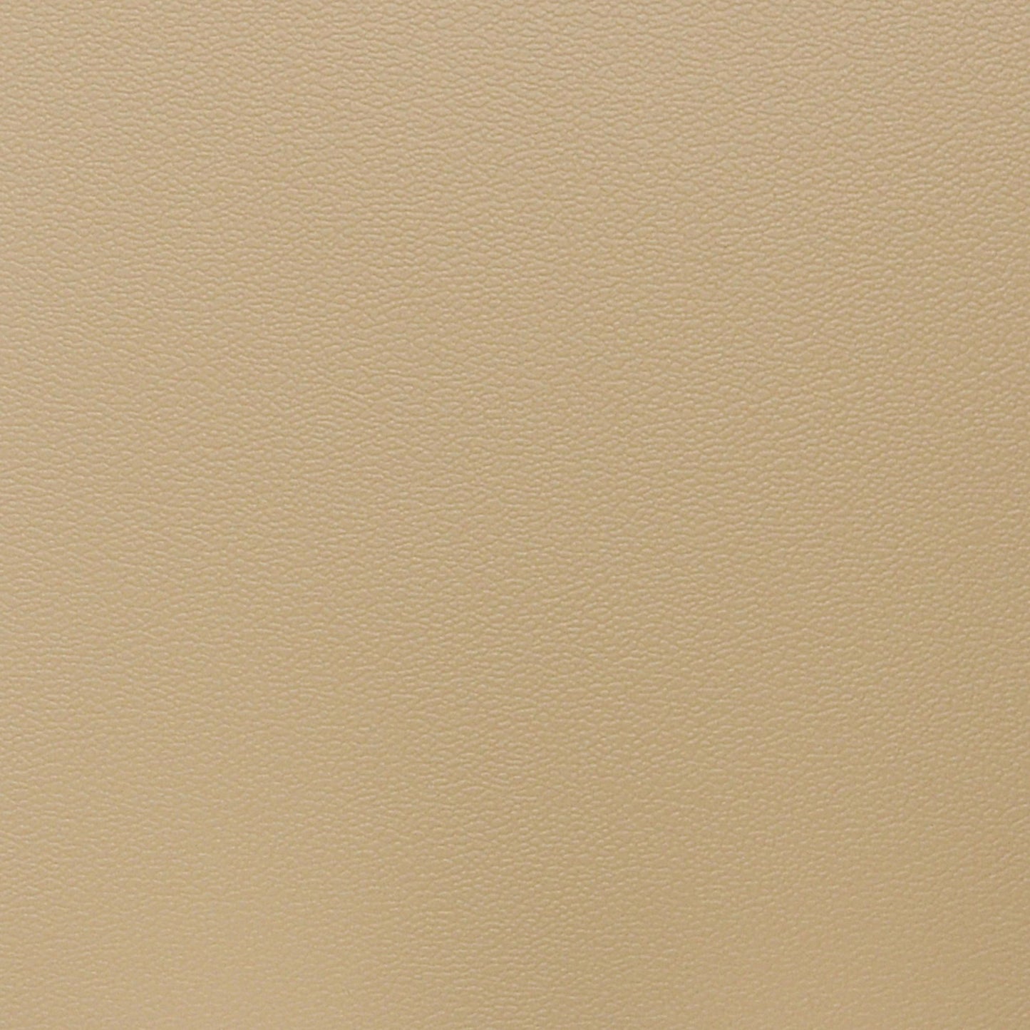 Nassimi Esprit Performance Vinyl Fabric - PES-059 Sand