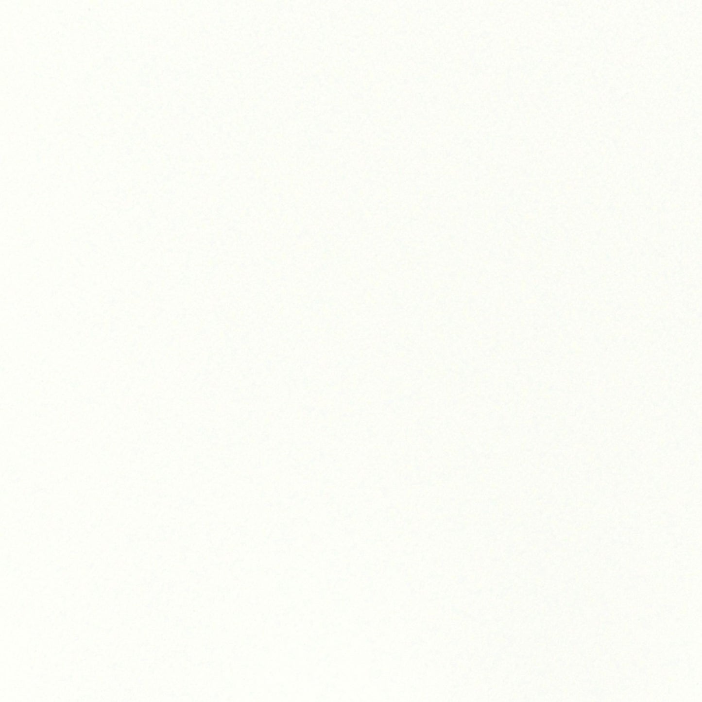 Nassimi Esprit Performance Vinyl Fabric - PES-062 Snow White