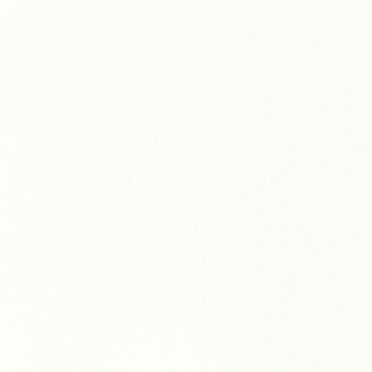Nassimi Esprit Performance Vinyl Fabric - PES-062 Snow White