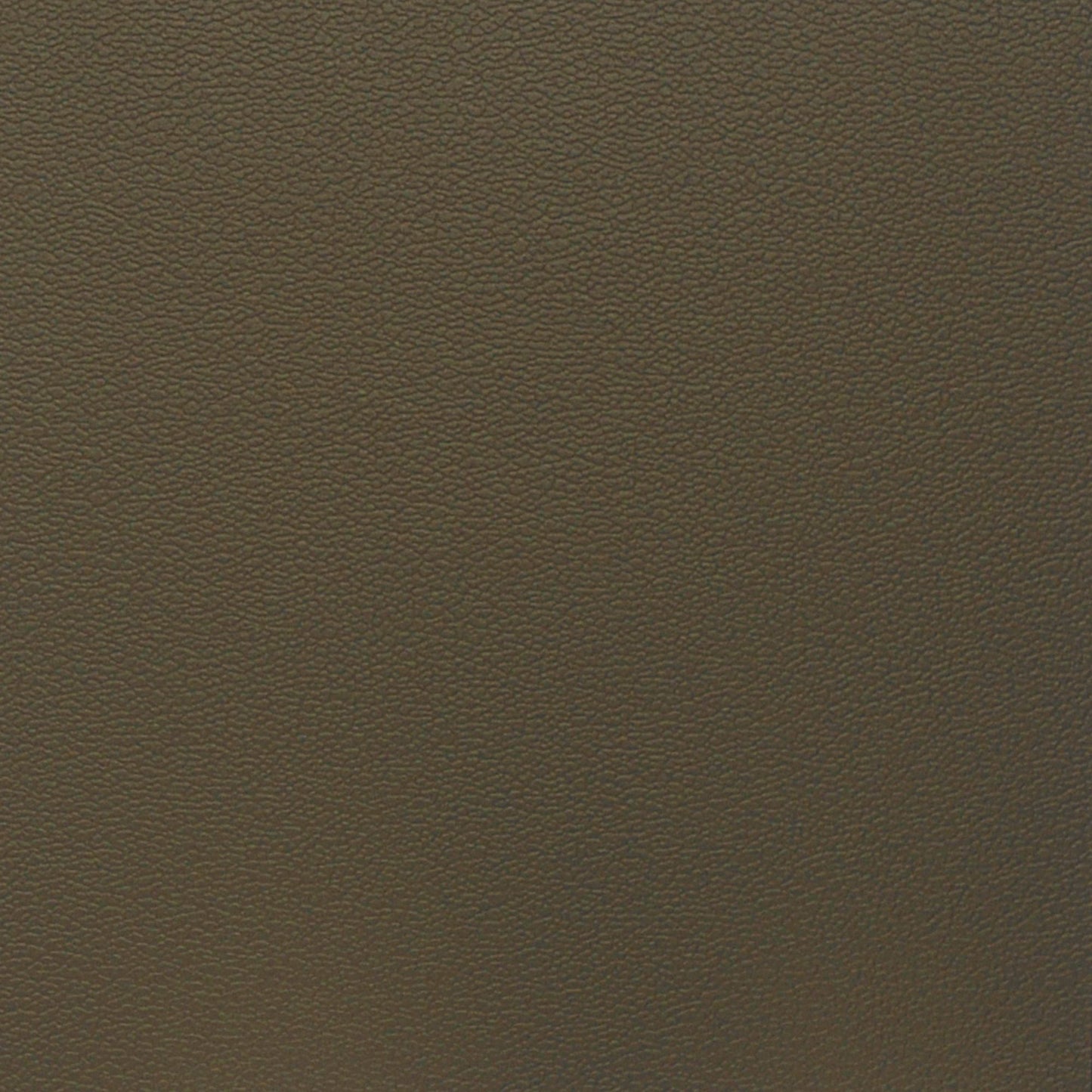 Nassimi Esprit Performance Vinyl Fabric - PES-068 Tea Leaf