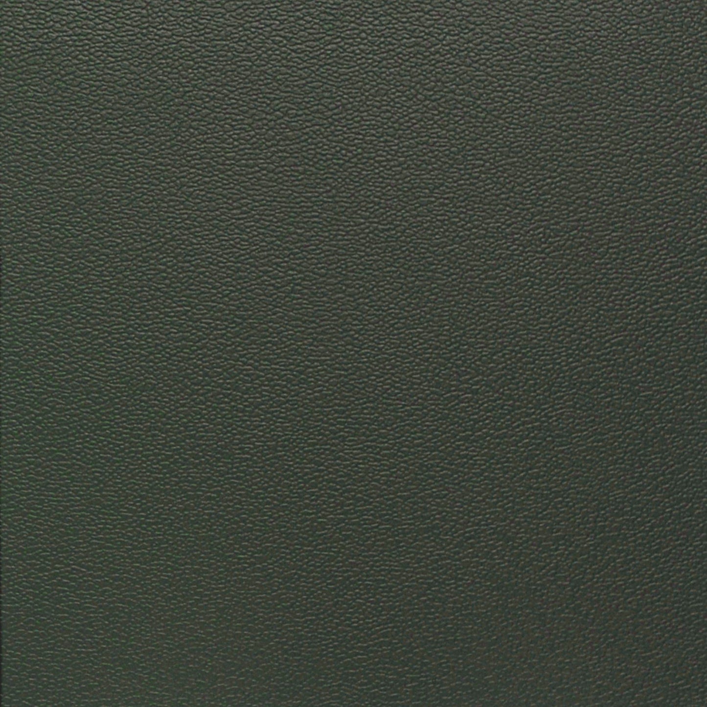 Nassimi Esprit Performance Vinyl Fabric - PES-075 Yew Green