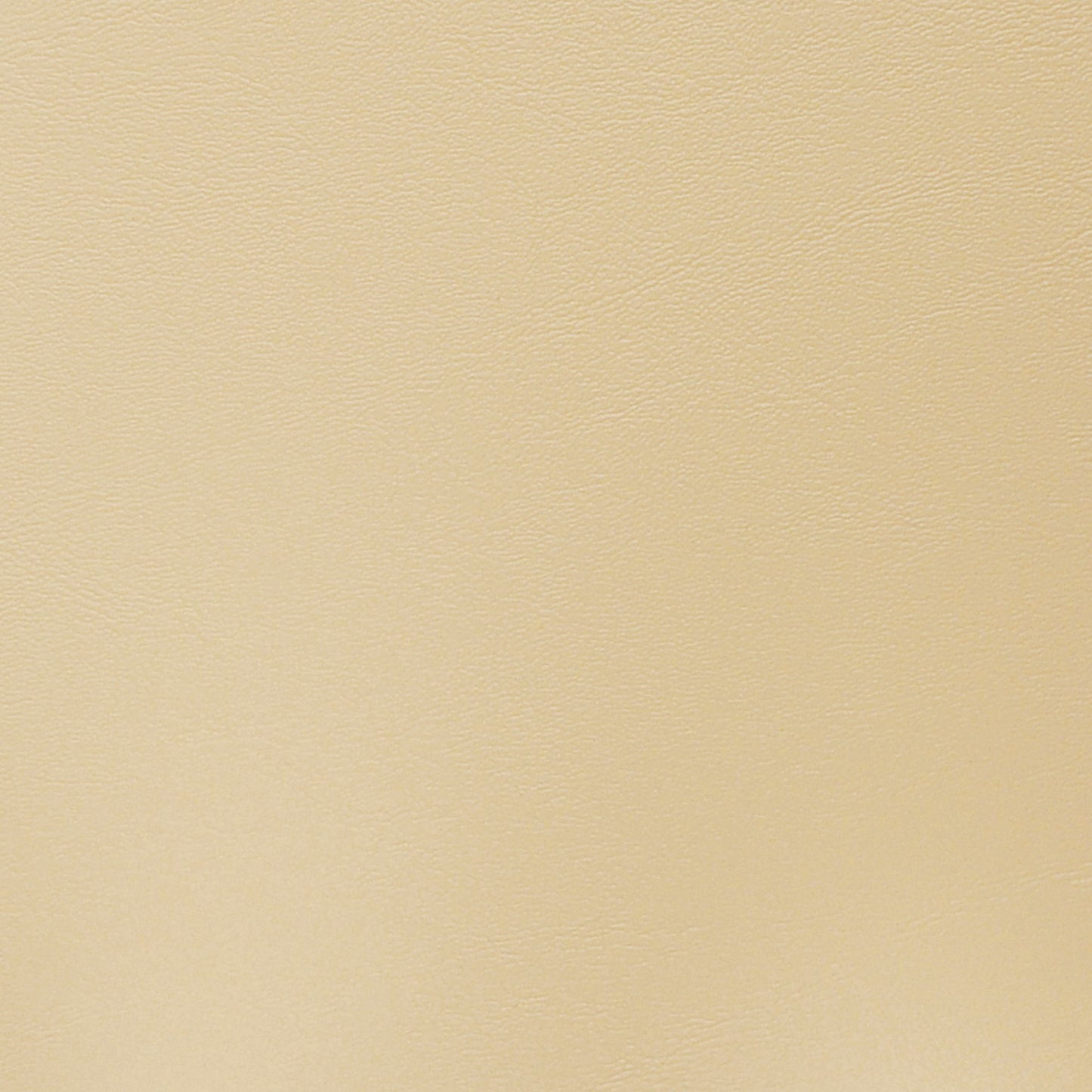 Nassimi Seaquest Marine Vinyl Fabric - PSQ-003 Buff