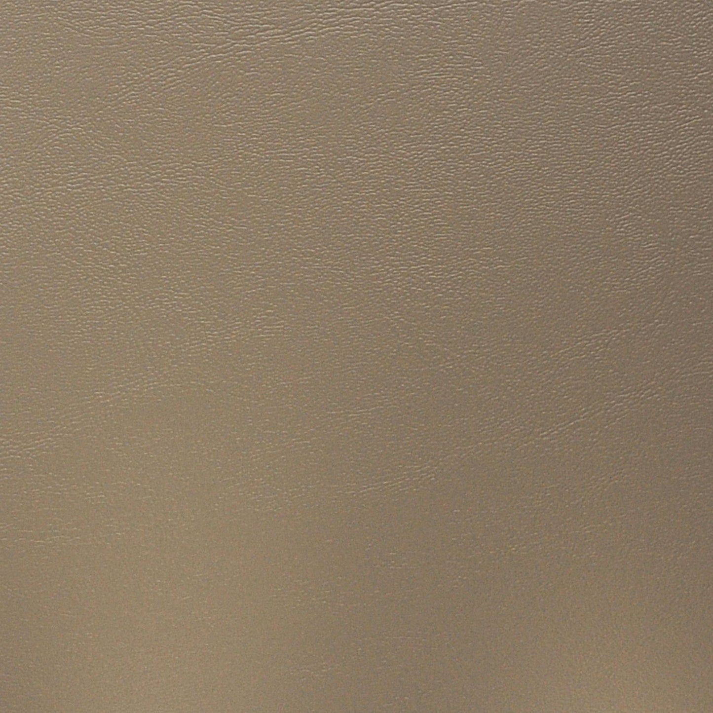 Nassimi Seaquest Marine Vinyl Fabric - PSQ-006 Dune