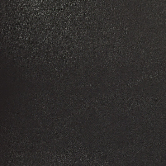 Nassimi Seaquest Marine Vinyl Fabric - PSQ-007 Ebony