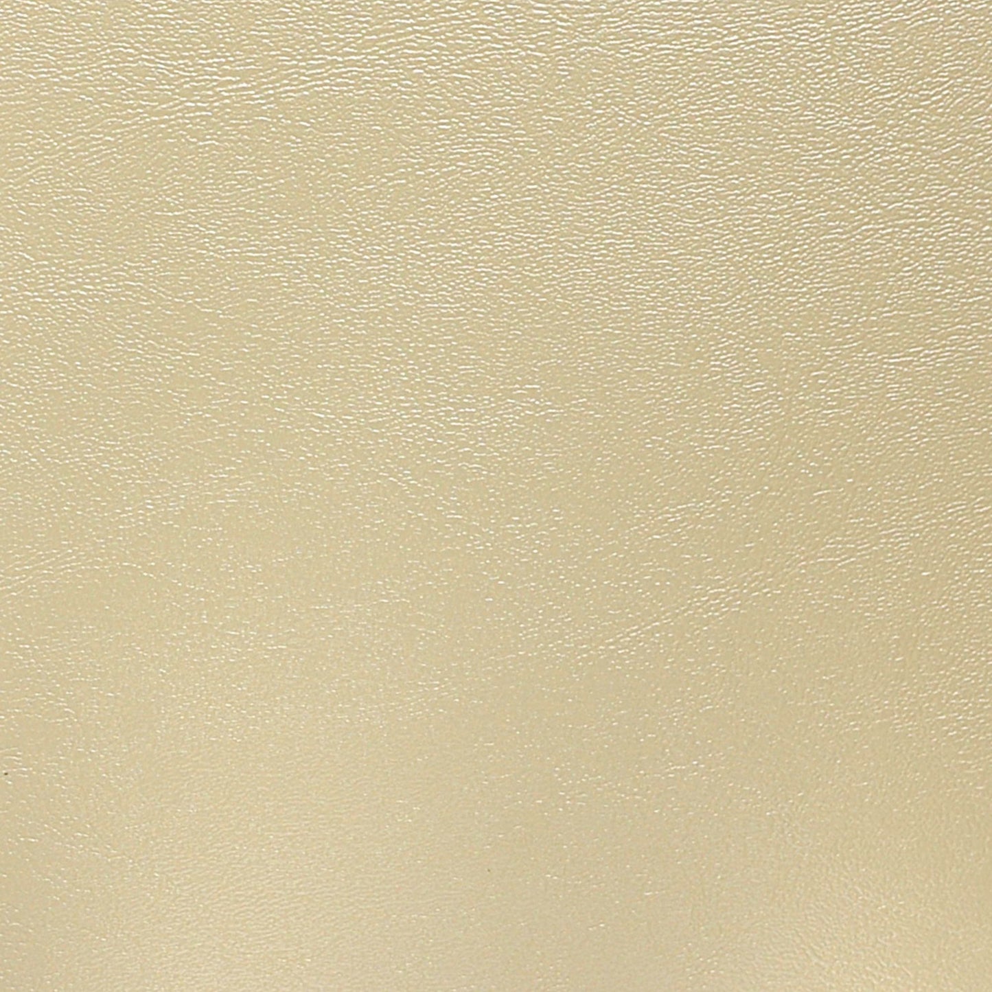 Nassimi Seaquest Marine Vinyl Fabric - PSQ-021 Pearl Oyster