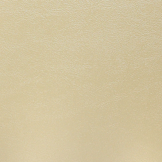 Nassimi Seaquest Marine Vinyl Fabric - PSQ-021 Pearl Oyster