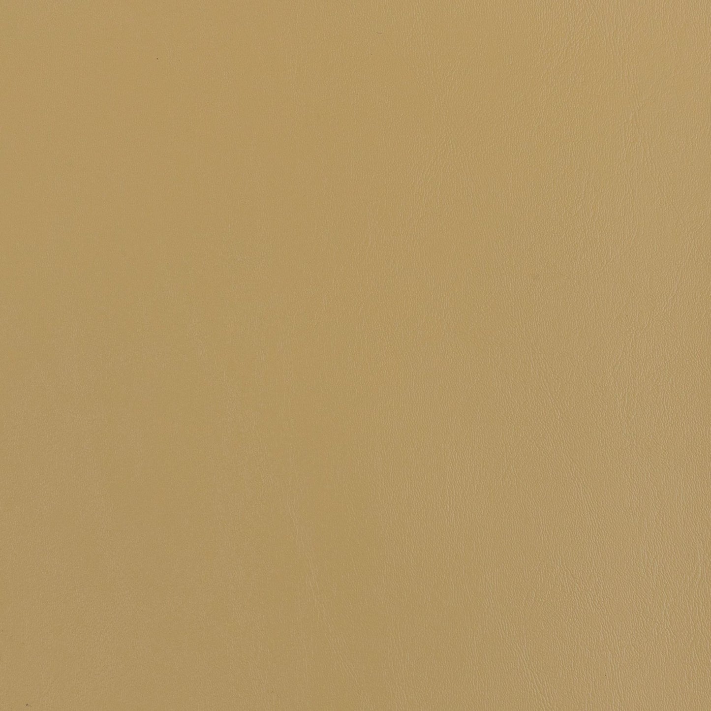 Nassimi Seaquest Marine Vinyl Fabric - PSQ-101 Biscuit