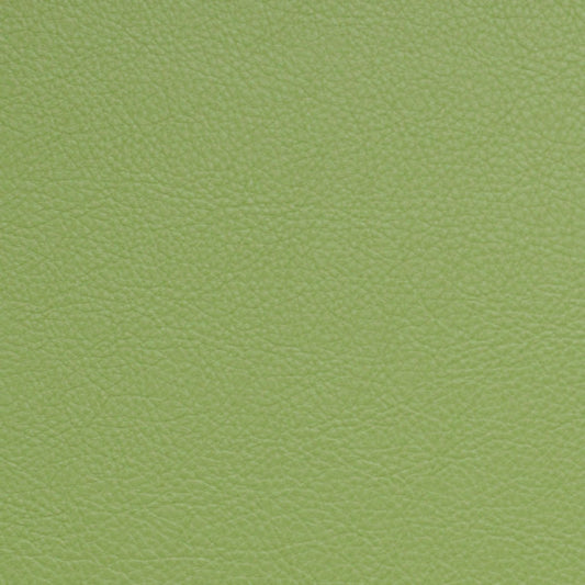 Nassimi Classic Performance Vinyl Fabric - SCL-013 Celery