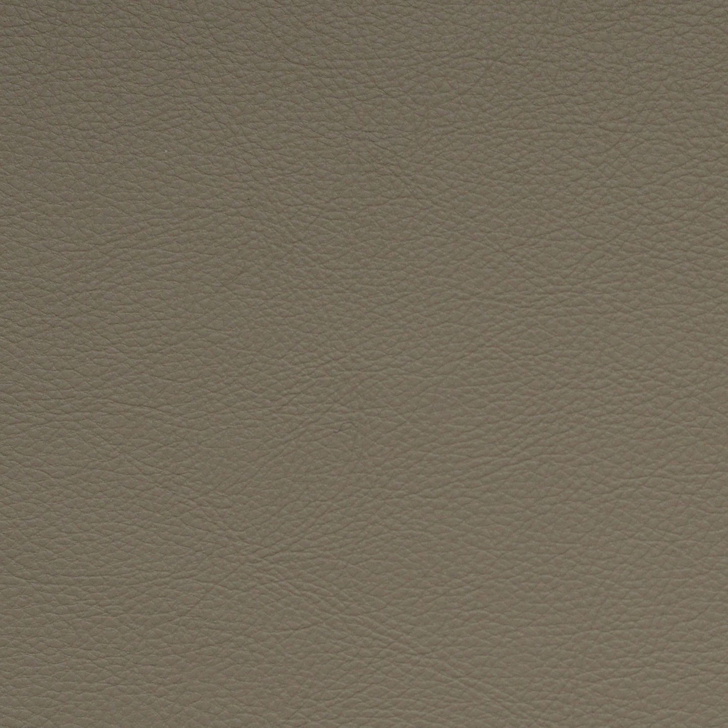 Nassimi Classic Performance Vinyl Fabric - SCL-201 Aniseed