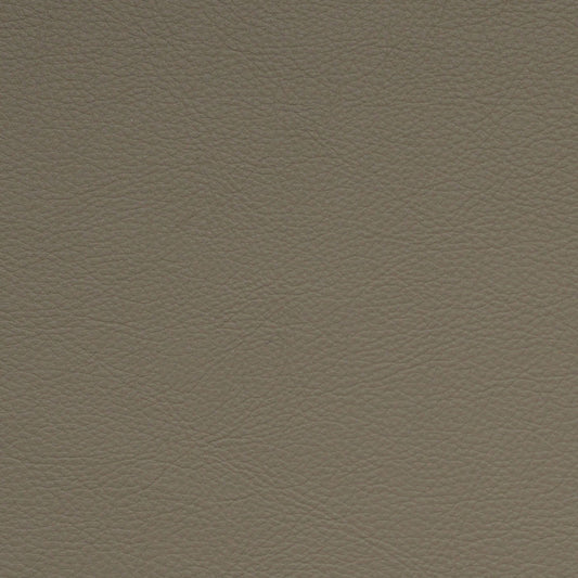 Nassimi Classic Performance Vinyl Fabric - SCL-201 Aniseed
