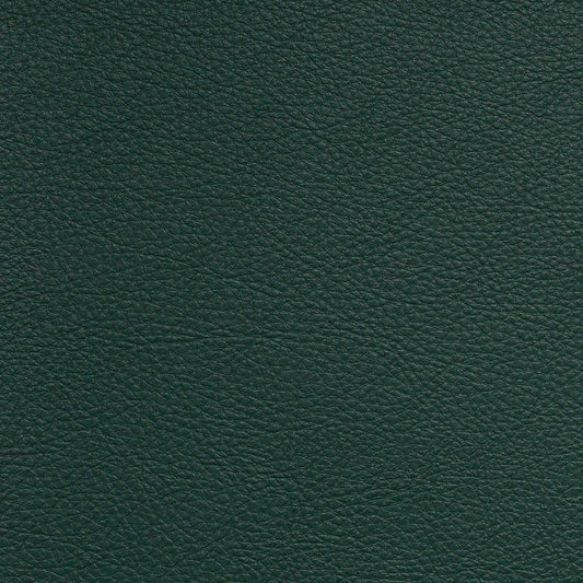 Nassimi Classic Performance Vinyl Fabric - SCL-202 Appalachian