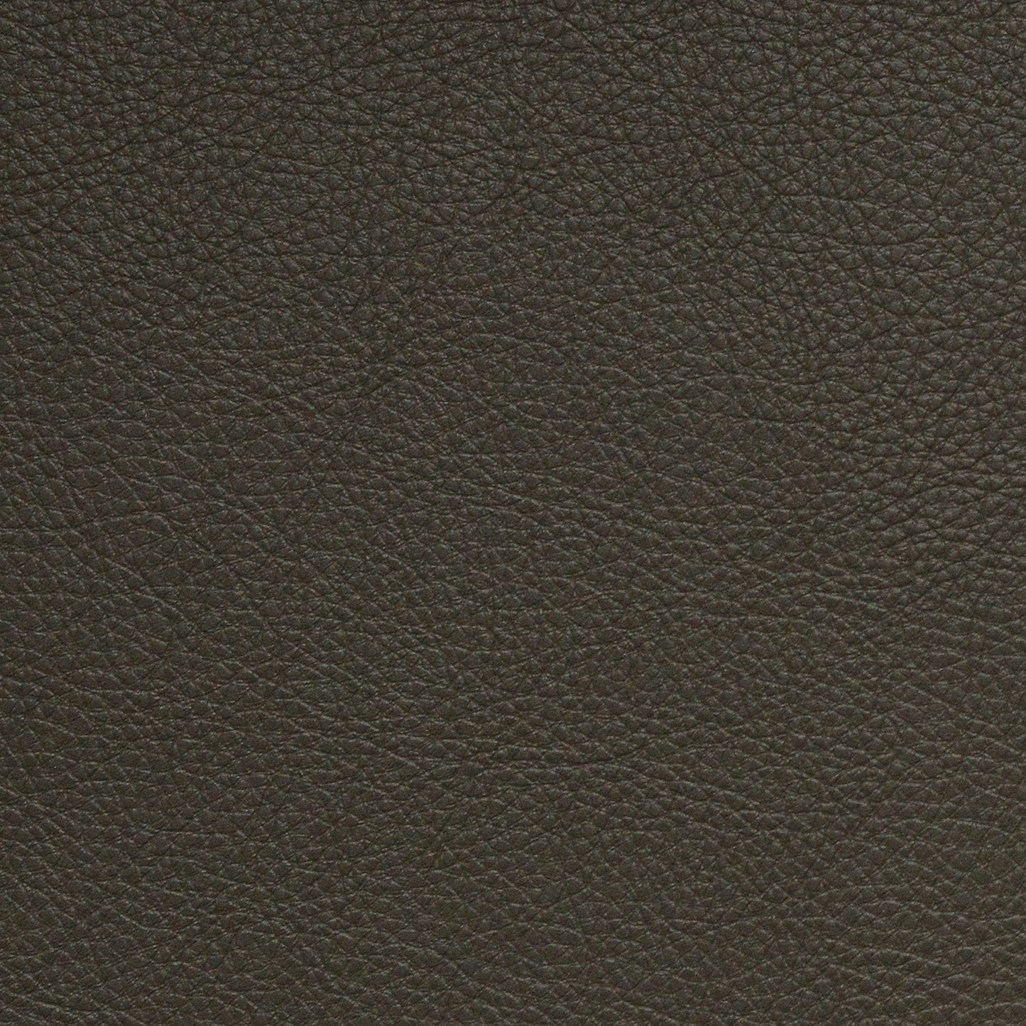 Nassimi Classic Performance Vinyl Fabric - SCL-204 Bedrock