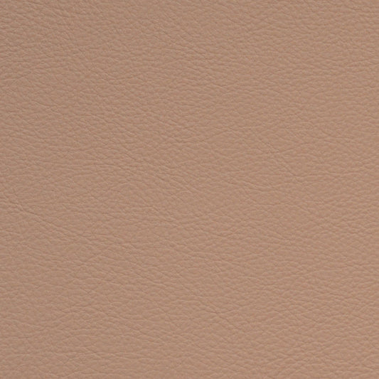Nassimi Classic Performance Vinyl Fabric - SCL-206 Carnation