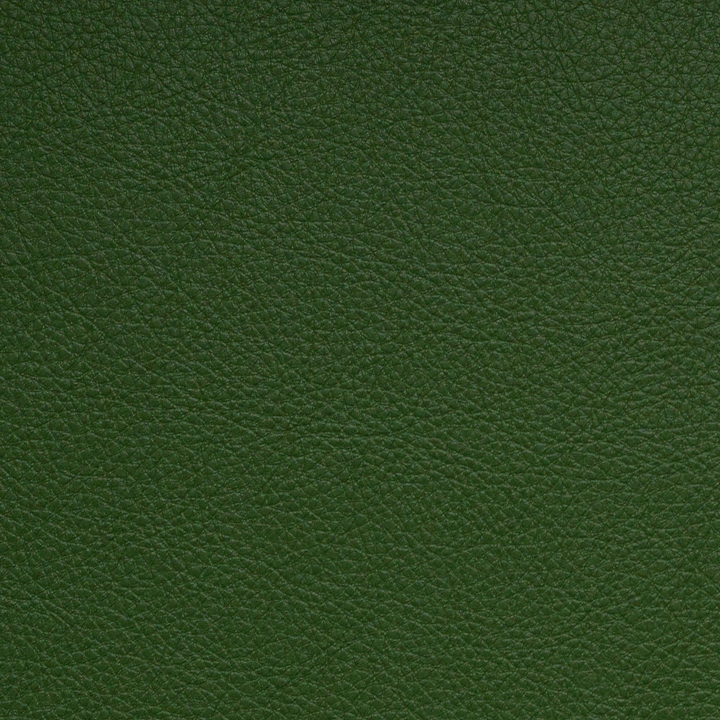 Nassimi Classic Performance Vinyl Fabric - SCL-210 Fern