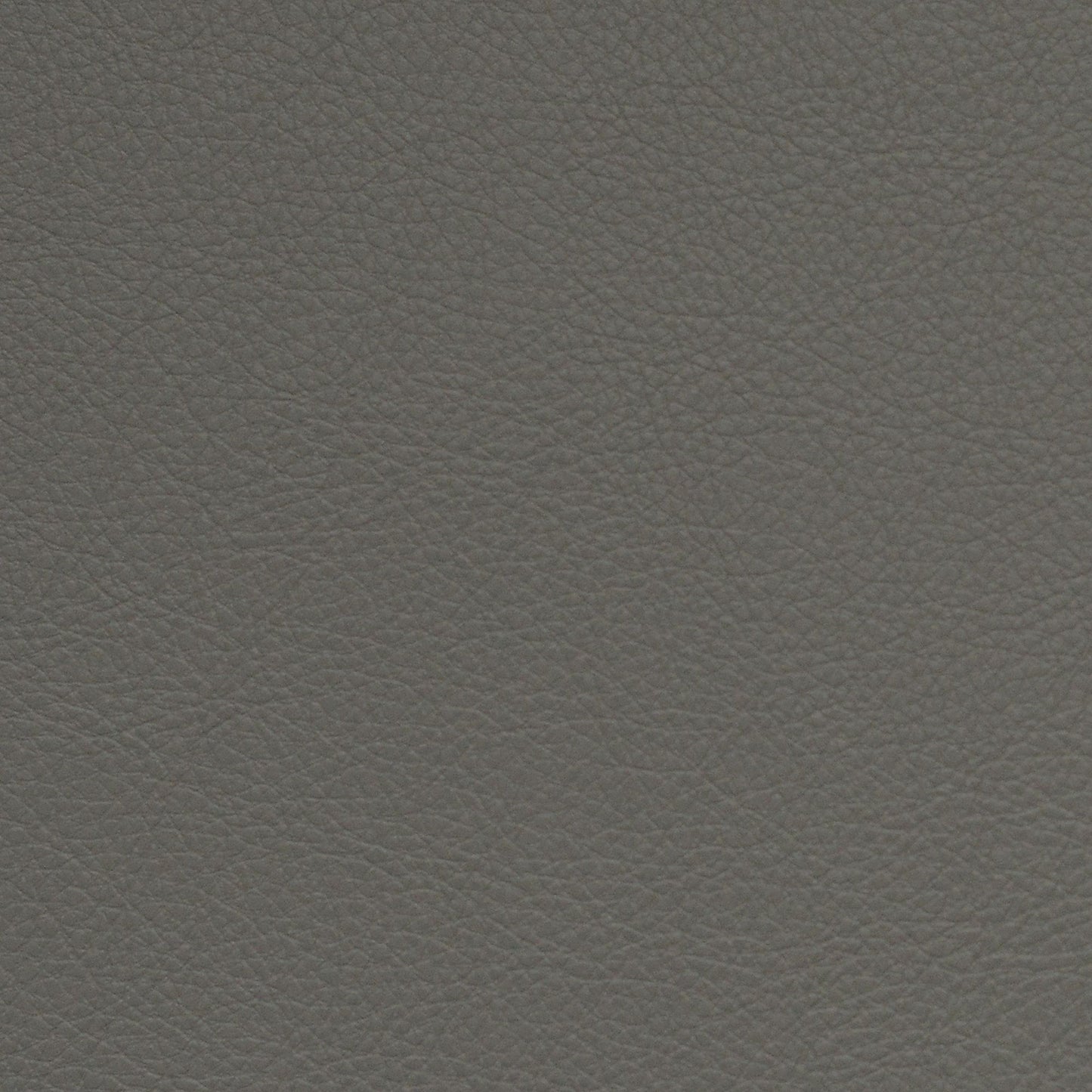 Nassimi Classic Performance Vinyl Fabric - SCL-214 Gunite