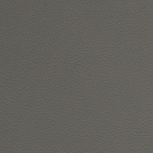 Nassimi Classic Performance Vinyl Fabric - SCL-214 Gunite