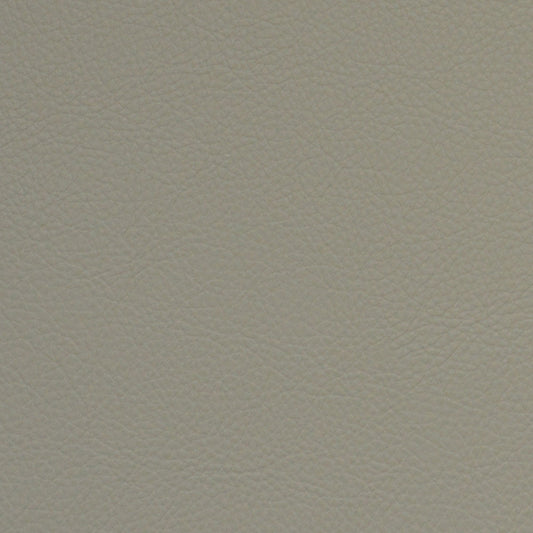 Nassimi Classic Performance Vinyl Fabric - SCL-215 Gypsum