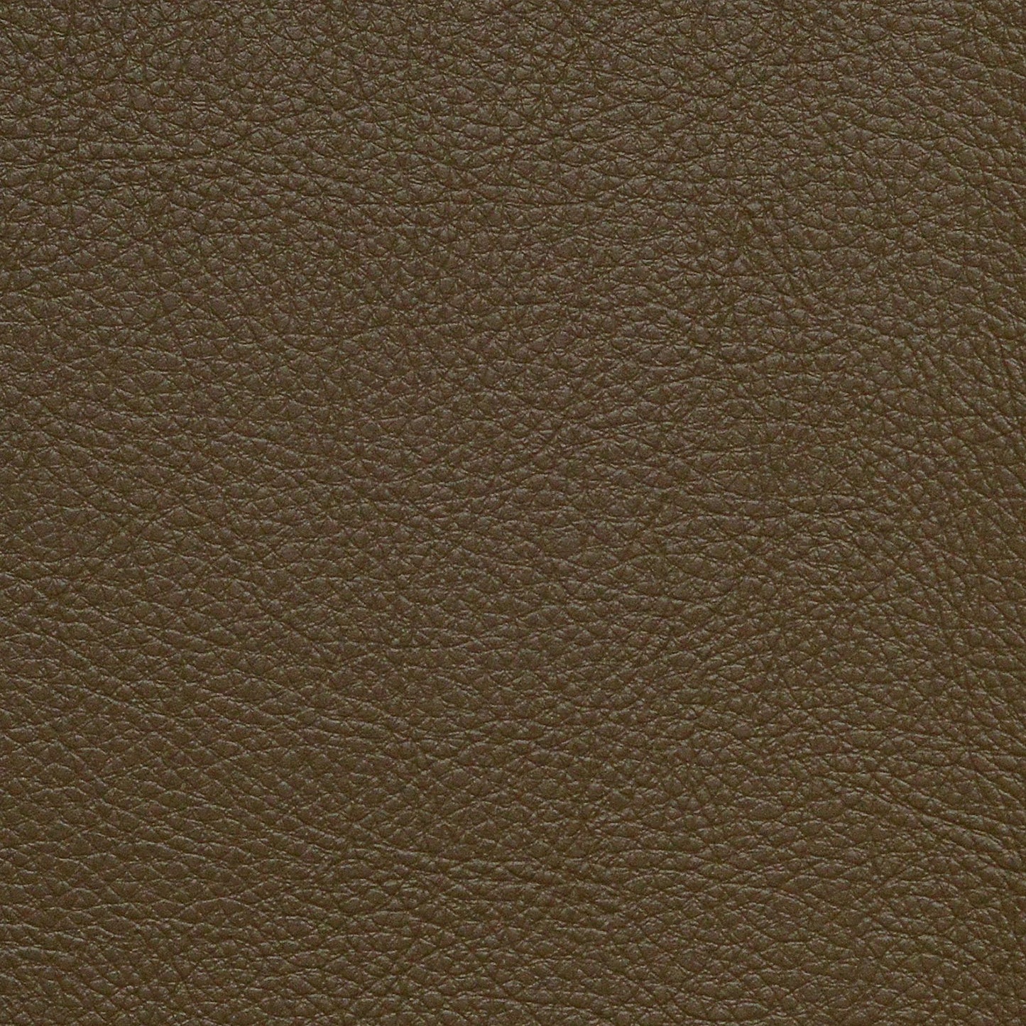 Nassimi Classic Performance Vinyl Fabric - SCL-219 Morel