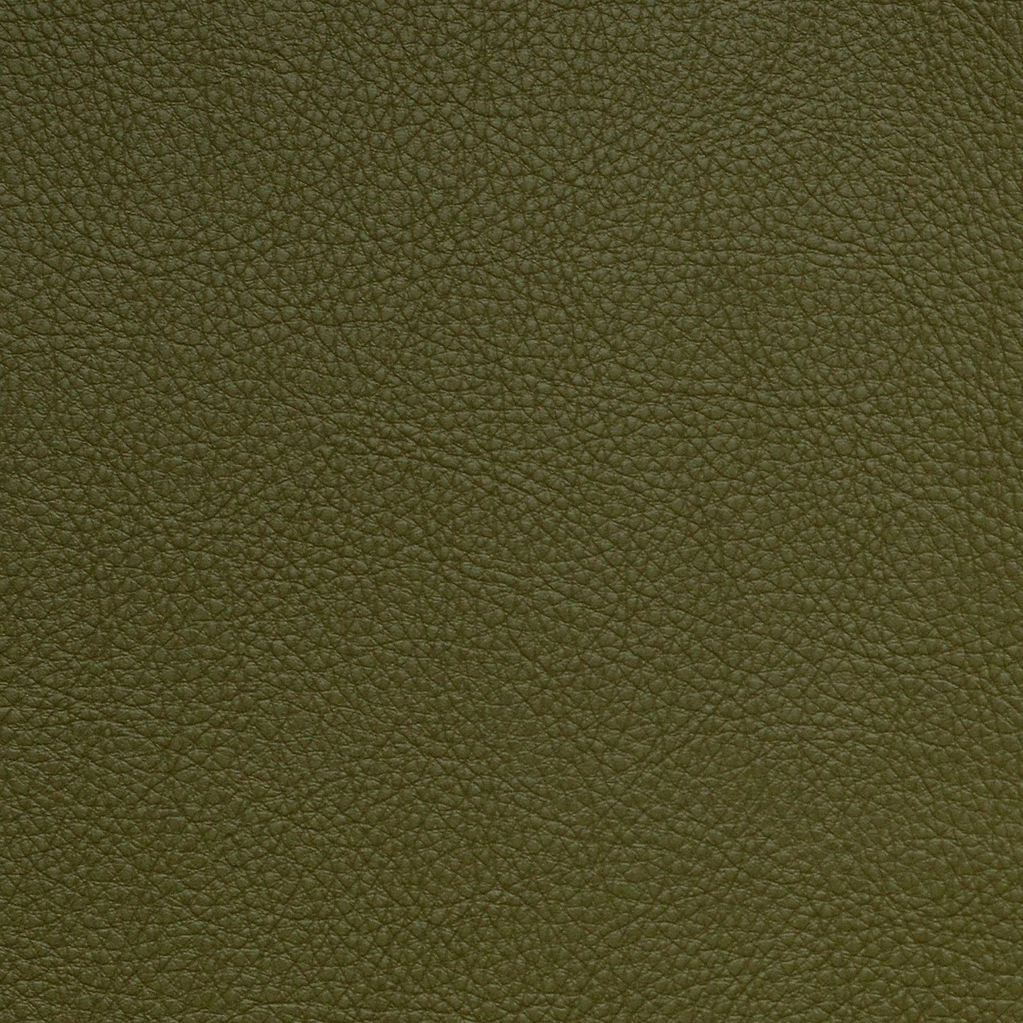 Nassimi Classic Performance Vinyl Fabric - SCL-221 Picholine