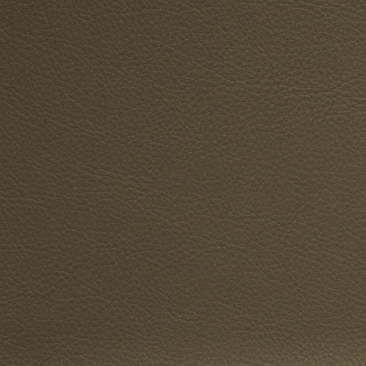 Nassimi Classic Performance Vinyl Fabric - SCL-222 Porcini