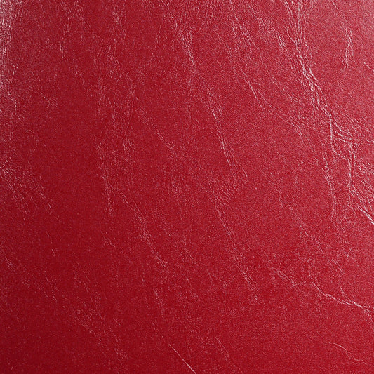 Nassimi Glaze Upholstery Vinyl Fabric - SGL-004 Flame