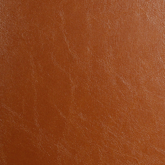 Nassimi Glaze Upholstery Vinyl Fabric - SGL-013 Sequoia
