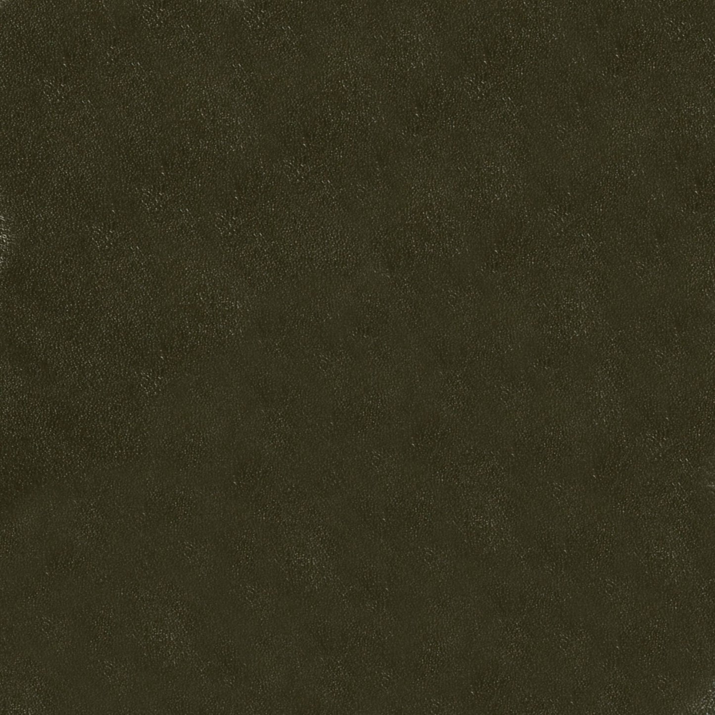 Nassimi Glaze Upholstery Vinyl Fabric - SGL-102 Cactus