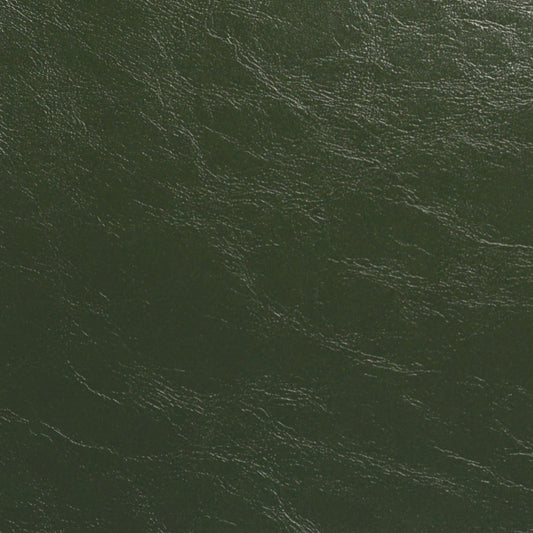 Nassimi Glaze Upholstery Vinyl Fabric - SGL-106 Landscape