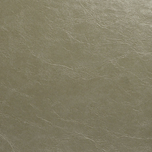 Nassimi Glaze Upholstery Vinyl Fabric - SGL-107 Pumice