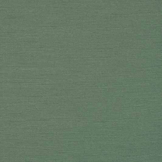 Nassimi Kimono Performance Vinyl Fabric - SKI-102 Agave