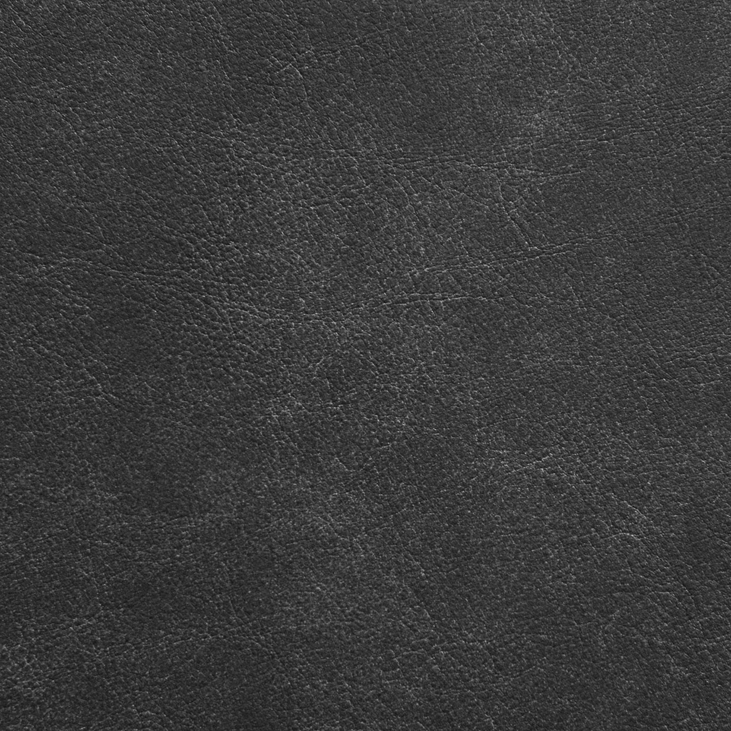 Nassimi Traveler Performance Vinyl Fabric - STR-001 Appaloosa