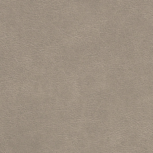 Nassimi Traveler Performance Vinyl Fabric - STR-002 Ashwood