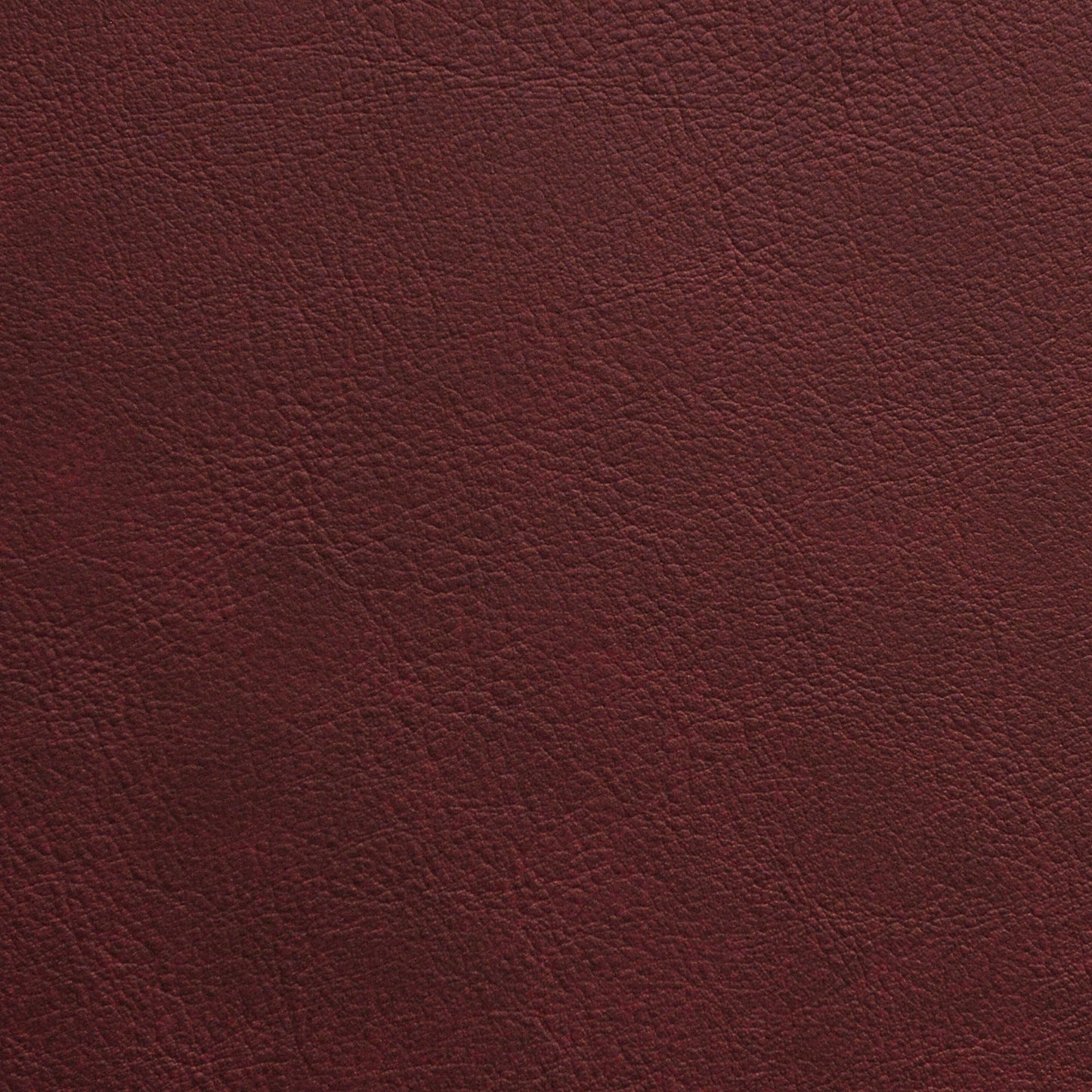 Nassimi Traveler Performance Vinyl Fabric - STR-003 Caravan