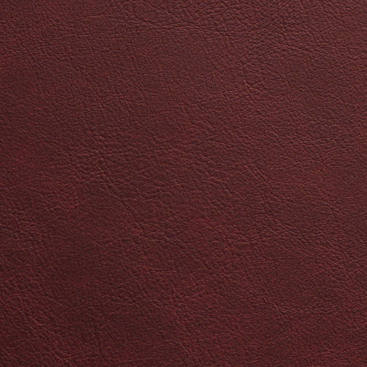 Nassimi Traveler Performance Vinyl Fabric - STR-003 Caravan