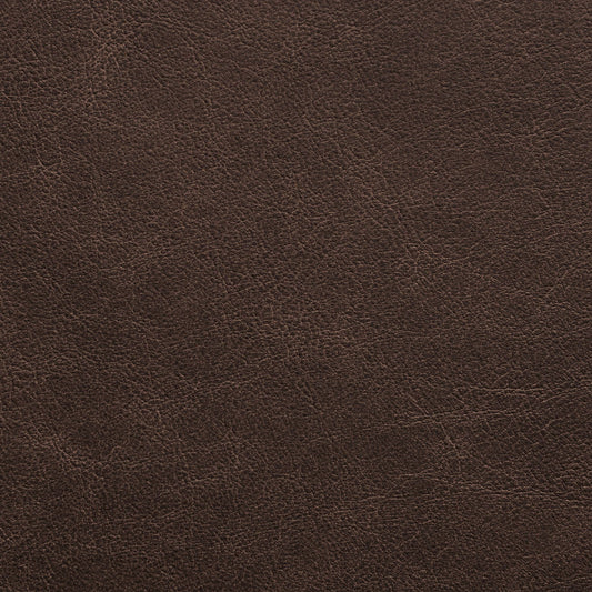 Nassimi Traveler Performance Vinyl Fabric - STR-004 Chestnut