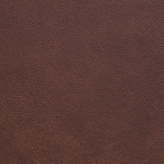 Nassimi Traveler Performance Vinyl Fabric - STR-005 Cheyenne