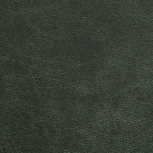 Nassimi Traveler Performance Vinyl Fabric - STR-006 Evergreen
