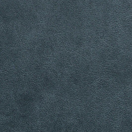 Nassimi Traveler Performance Vinyl Fabric - STR-008 Geyser