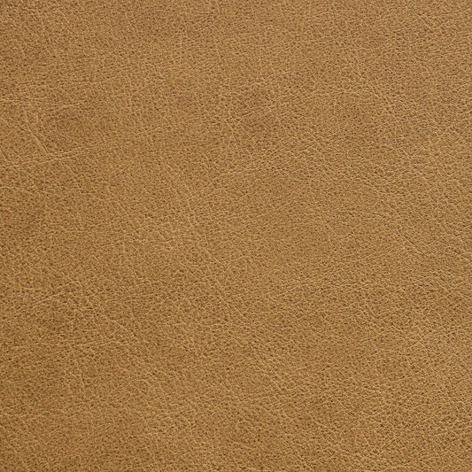 Nassimi Traveler Performance Vinyl Fabric - STR-009 Hay
