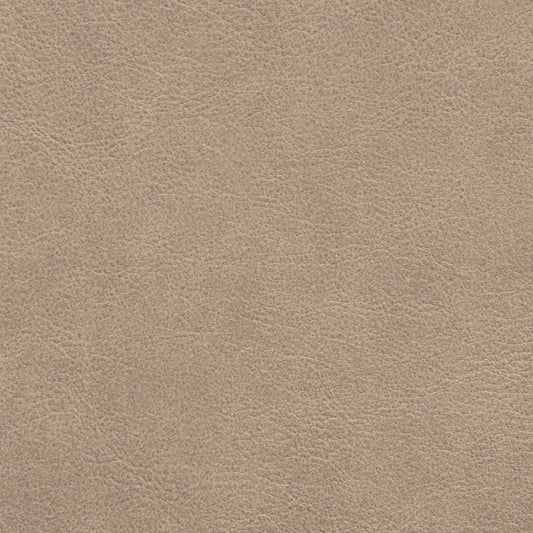 Nassimi Traveler Performance Vinyl Fabric - STR-010 Jute
