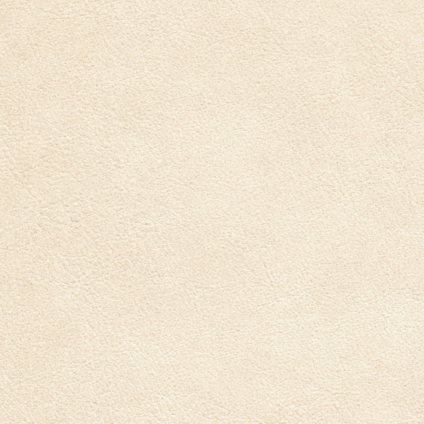 Nassimi Traveler Performance Vinyl Fabric - STR-011 Macadamia