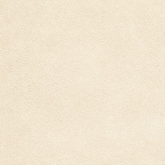 Nassimi Traveler Performance Vinyl Fabric - STR-011 Macadamia