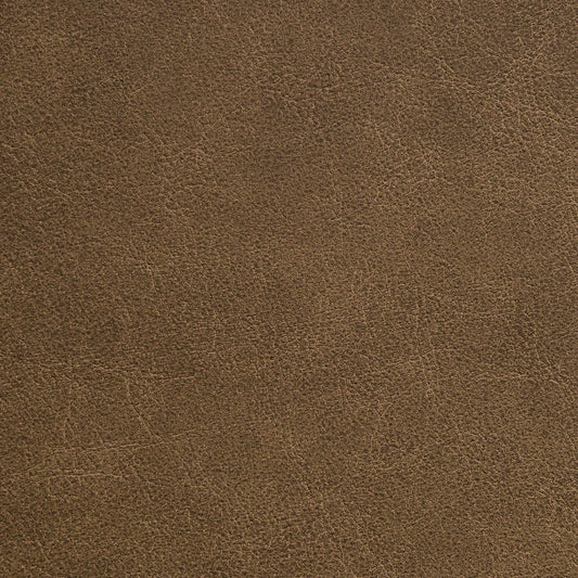 Nassimi Traveler Performance Vinyl Fabric - STR-012 Mustang